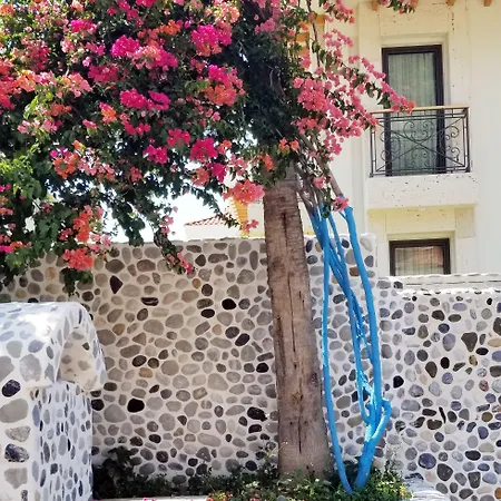 Tonoz Ölüdeniz