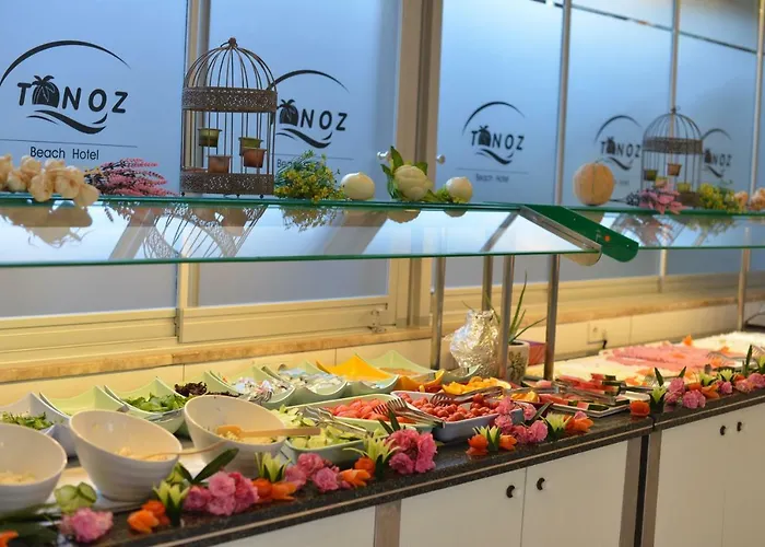 托诺兹海滩酒店 酒店 厄吕代尼兹