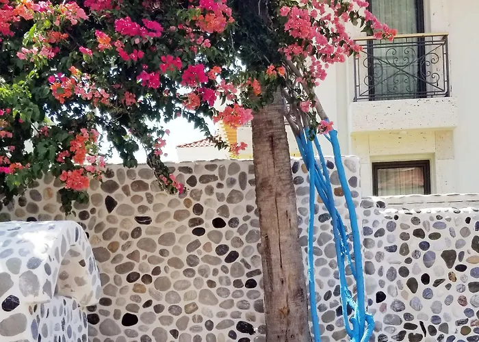 Tonoz Ölüdeniz