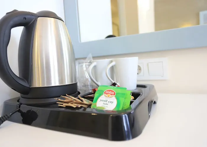 Tonoz Ολουντενίζ