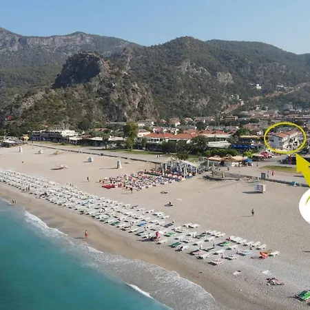 酒店 托诺兹海滩酒店