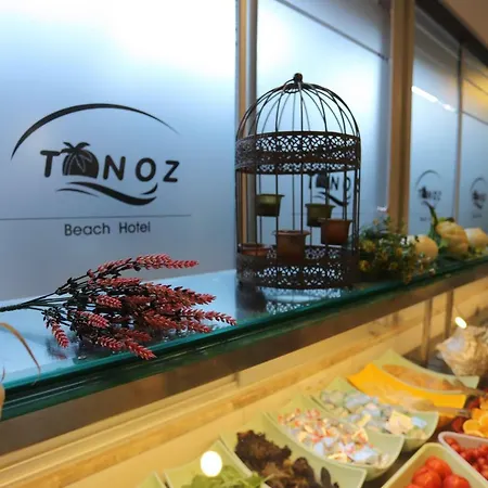 托诺兹海滩酒店 厄吕代尼兹